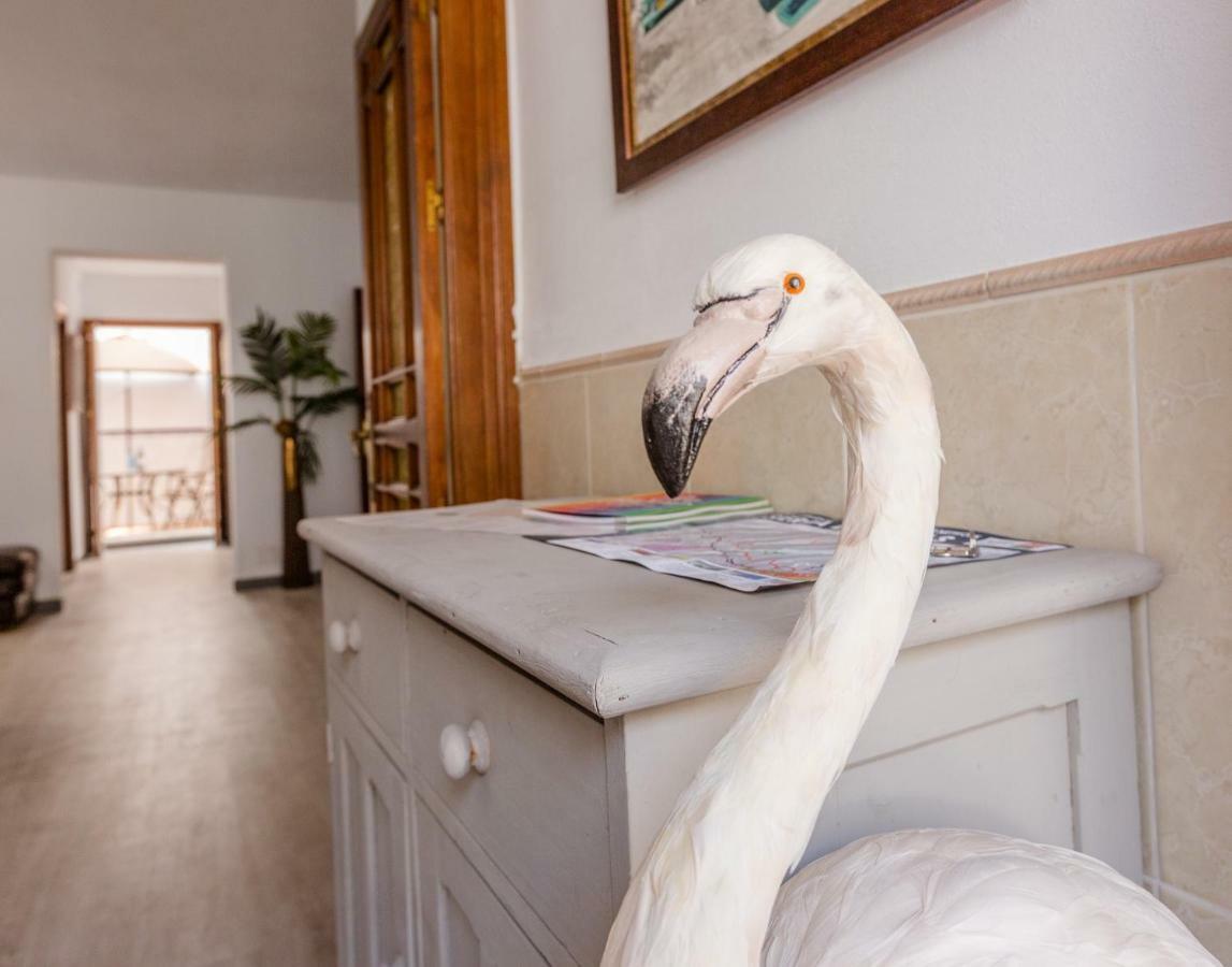 Alhaurin Old Town, Casa Flamingo, 2 Bed Apartment Alhaurin el Grande Exterior photo
